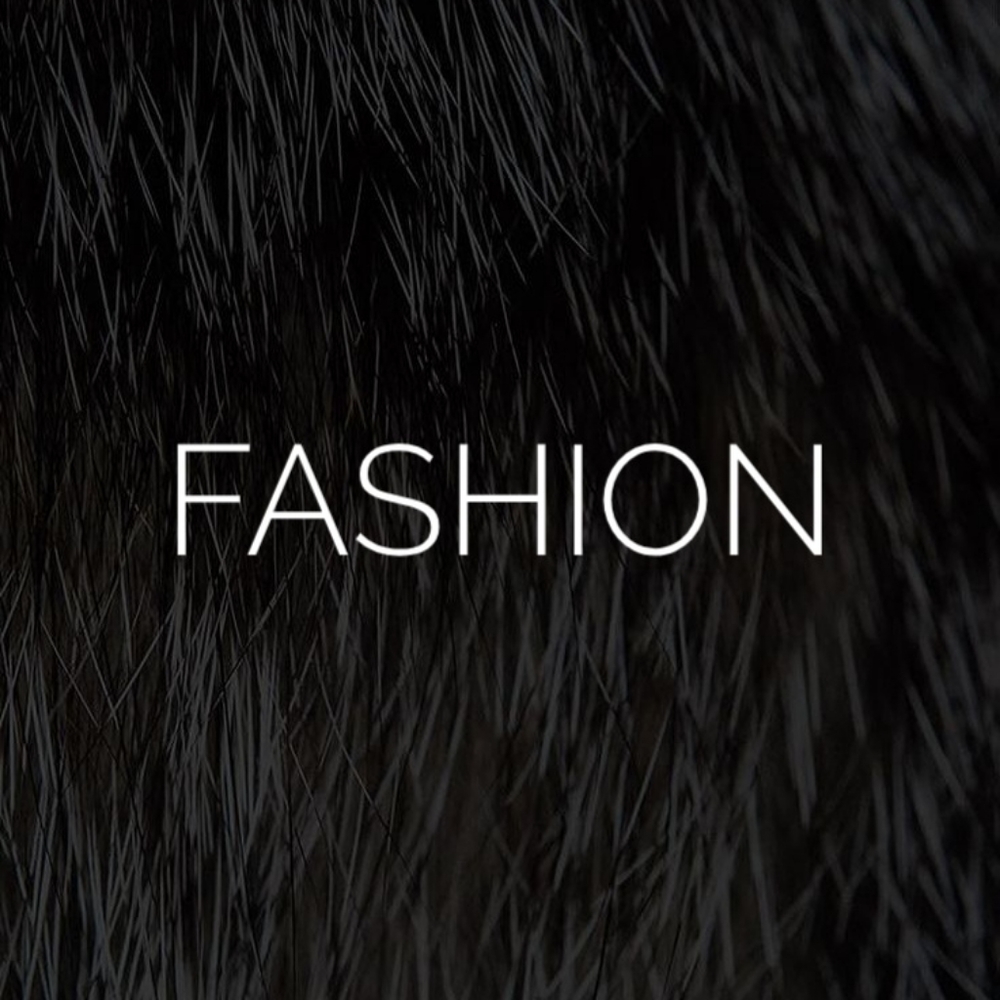Fashion